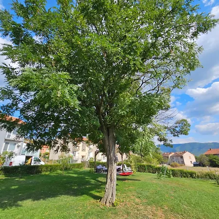 Apartment Divina 2.0 Borov Dol