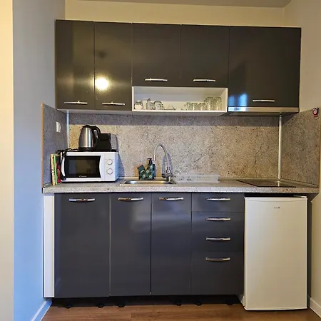 Divina 2.0 Apartment Borov Dol